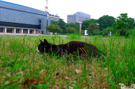 P1000303-1.jpg