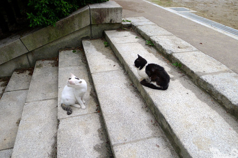 カミナリ